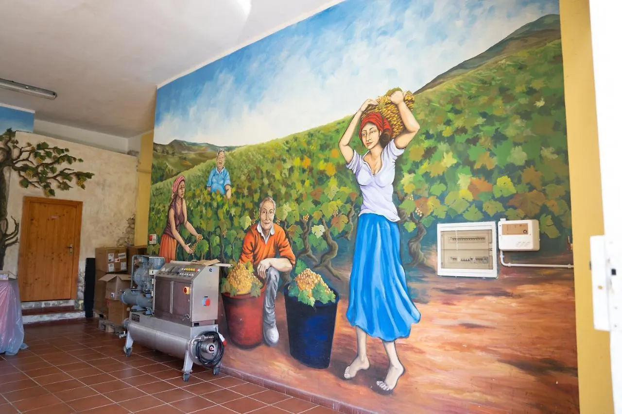 Le Case Nel Vitigno - Modolo Modolo  Modolo (Oristano)
